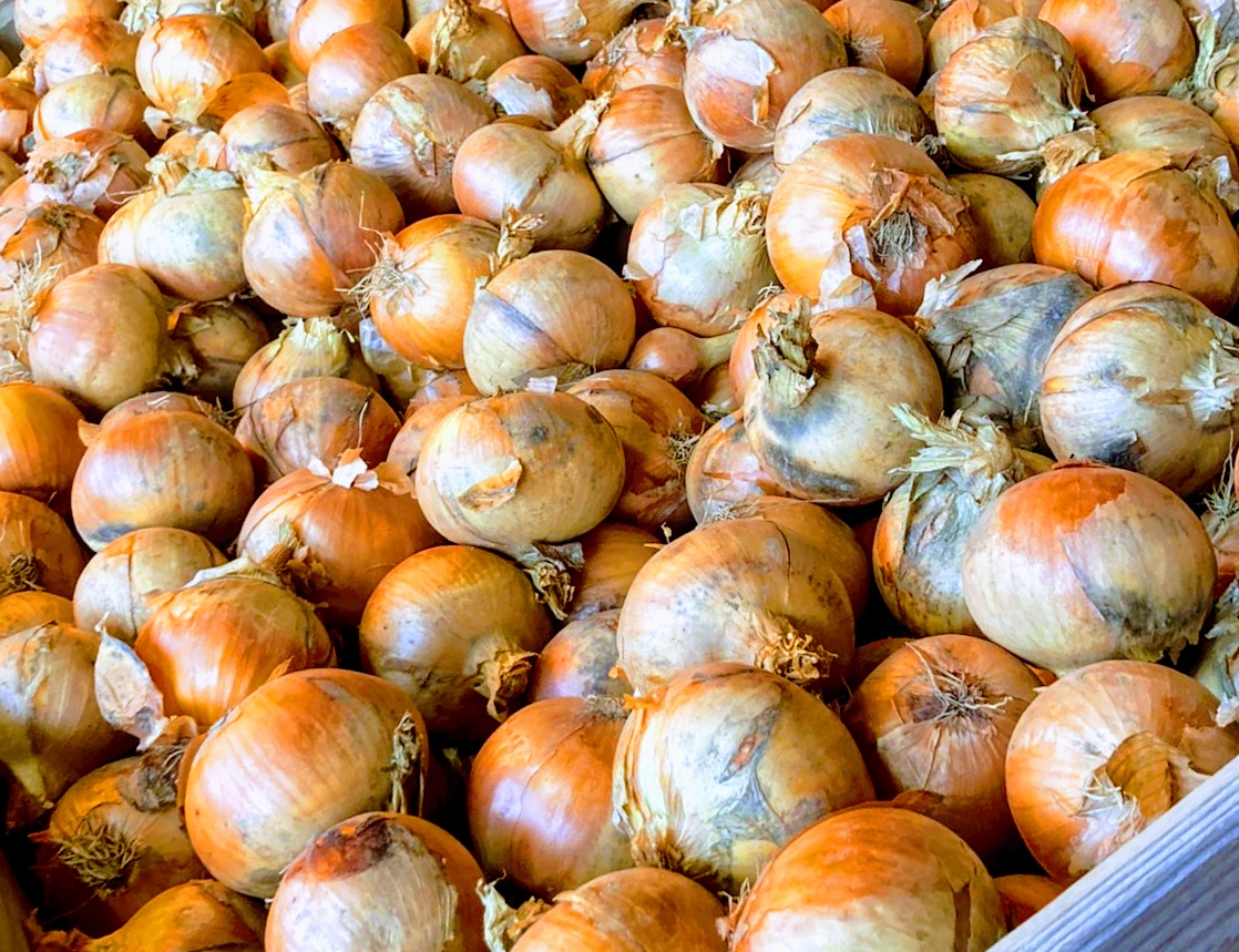 Das letzte Mal am Wochenmarkt in Arbon im Sommer 21